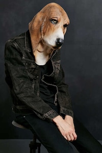 Lifelike Hound Disguises Image 3