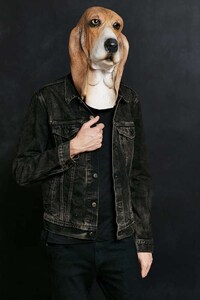 Lifelike Hound Disguises Image 4