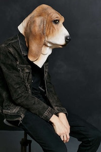 Lifelike Hound Disguises Image 5