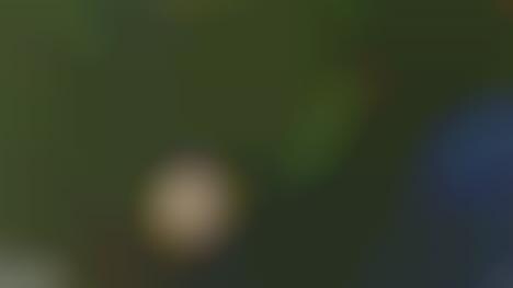 Stabilized 4K Cameras
