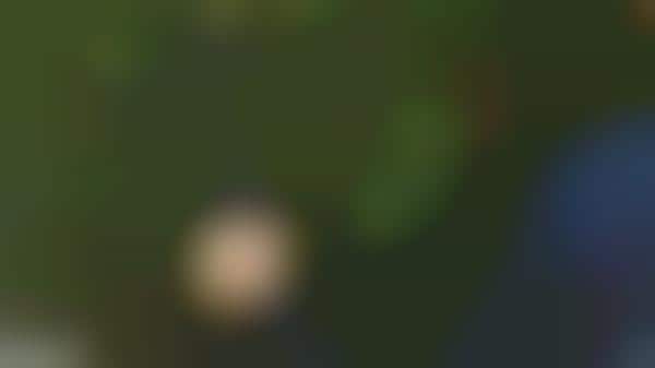 Stabilized 4K Cameras
