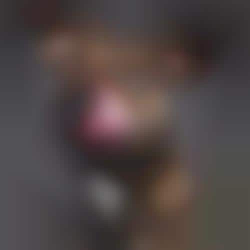 Licking Dog Portraits