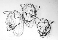 Wire Animal Sculptures Image 4