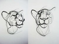 Wire Animal Sculptures Image 5