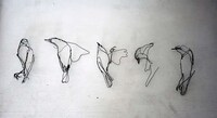Wire Animal Sculptures Image 7