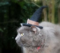 Feline Halloween Hats Image 2