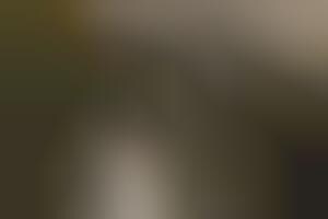 Warm Feline Dwellings : K&H Manufacturing Heated Outdoor Kitty House