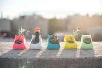 Printed Pokemon Planters Image 2