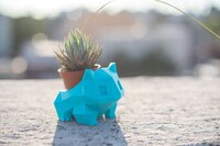 Printed Pokemon Planters Image 6