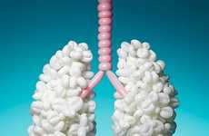 Anatomical Balloon Sculptures