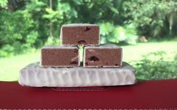 Probiotic Snack Bars