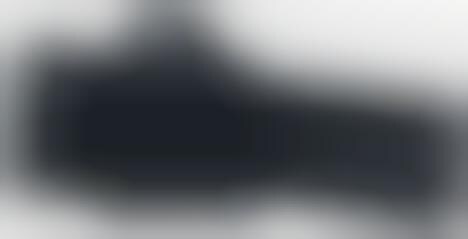 Speedy Sensor Cameras
