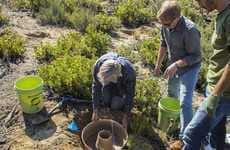 Arid Climate Planters