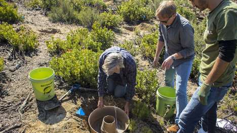 Arid Climate Planters