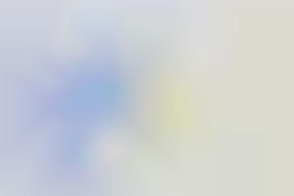Browser-Based Newspapers
