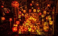 Professional Pumpkin Carvings Image 3