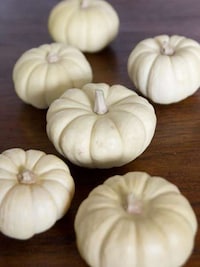 Bat-Shaped Pumpkins Image 2