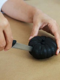 Bat-Shaped Pumpkins Image 7