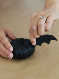Bat-Shaped Pumpkins Image 8