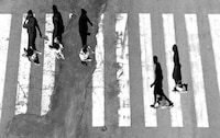 Striking Shadow Photography Image 2