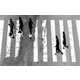 Striking Shadow Photography Image 2