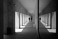 Striking Shadow Photography Image 3