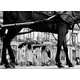 Striking Shadow Photography Image 5