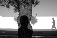 Striking Shadow Photography Image 6