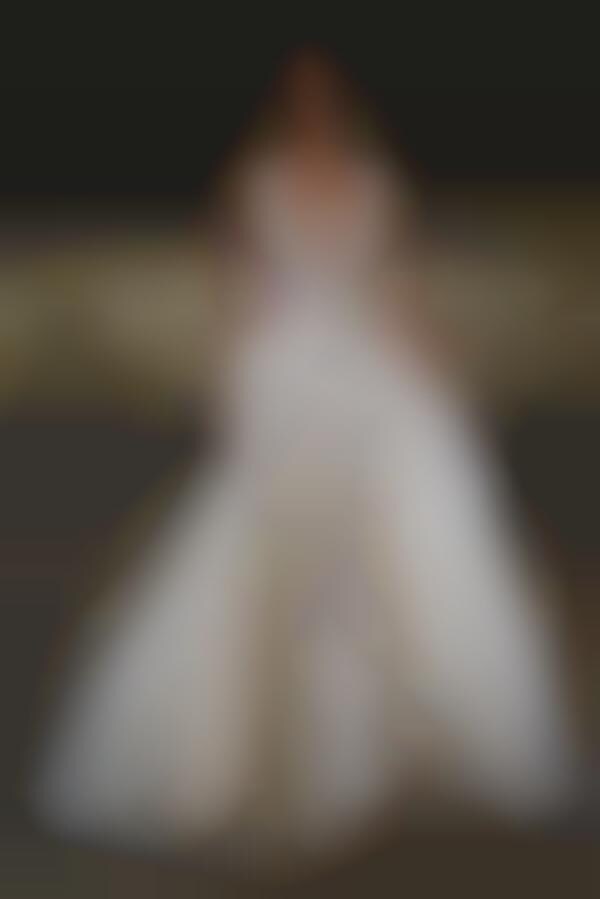Regal Wedding Gowns