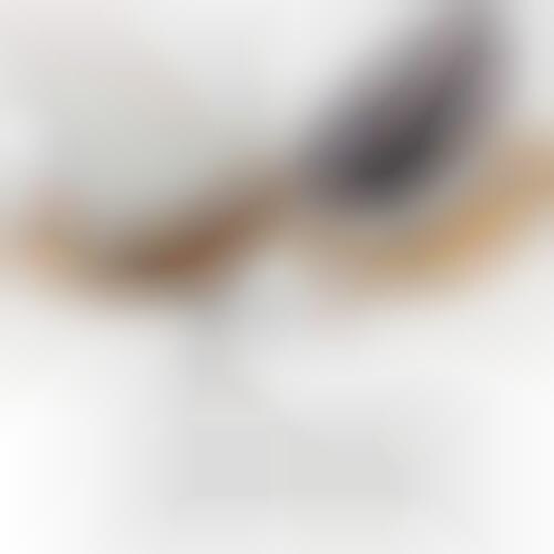 multifunctional high chair