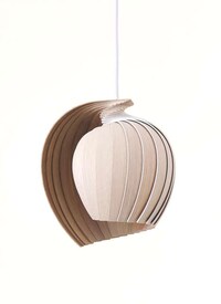 Flat-Packed Wooden Lamps Image 4