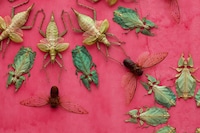 Kaleidoscope Insect Decals Image 3