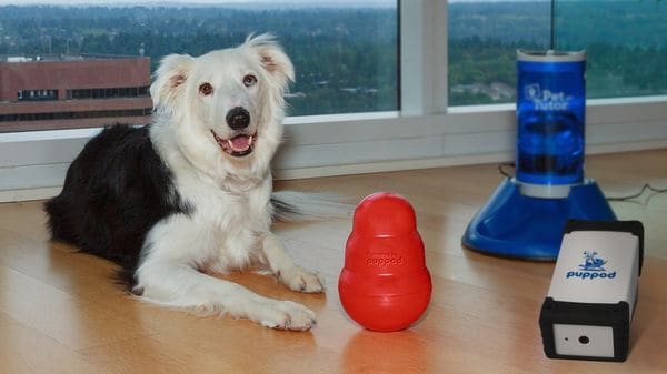 22 Pet-Friendly Apps