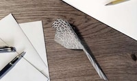 Swallow-Inspired Desk Accessories Image 3