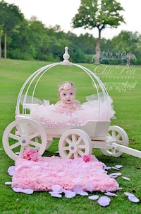 Opulent Baby Wagons Image 2