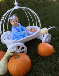 Opulent Baby Wagons Image 3