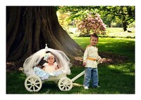 Opulent Baby Wagons Image 4