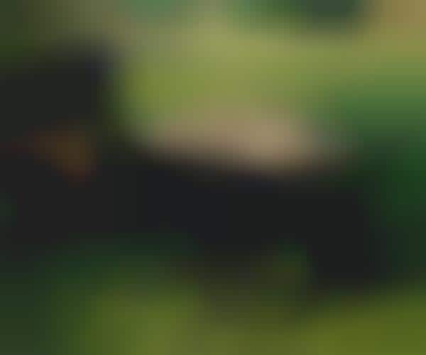 Effortless Landscaper Equipment