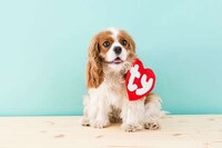 Retro Canine Plushy Costumes Image 7