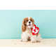 Retro Canine Plushy Costumes Image 7