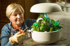 Soilless Smart Gardens