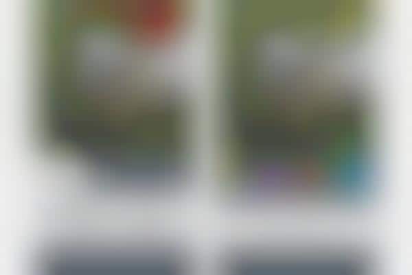 Biometric Photo-Sharing Apps