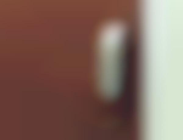 App-Controlled Door Locks