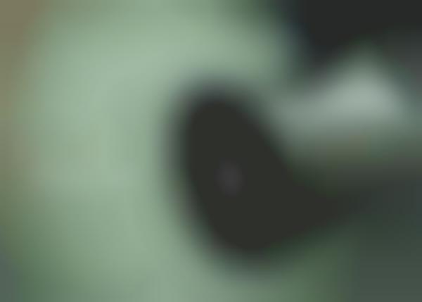 Socially-Fuelled Car Cameras