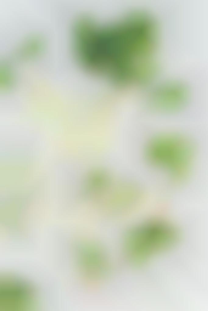 33 Alcoholic Ice Pops