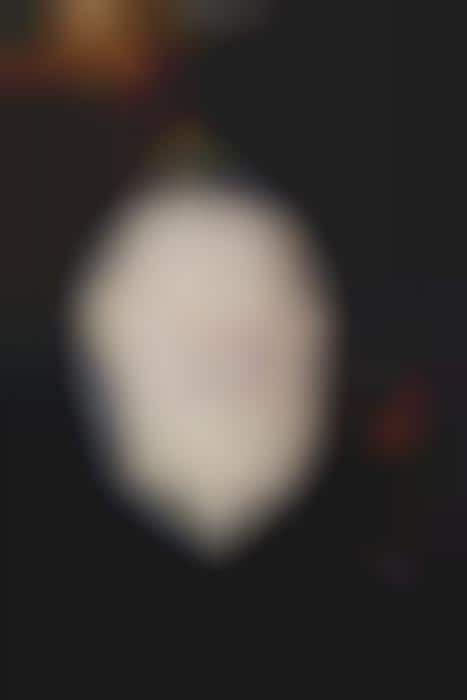 Fruity Chai Popsicles