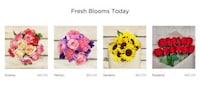 Ultra-Efficient Online Florists Image 5