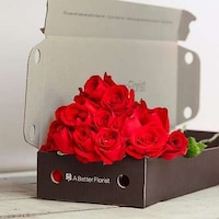 Ultra-Efficient Online Florists Image 8