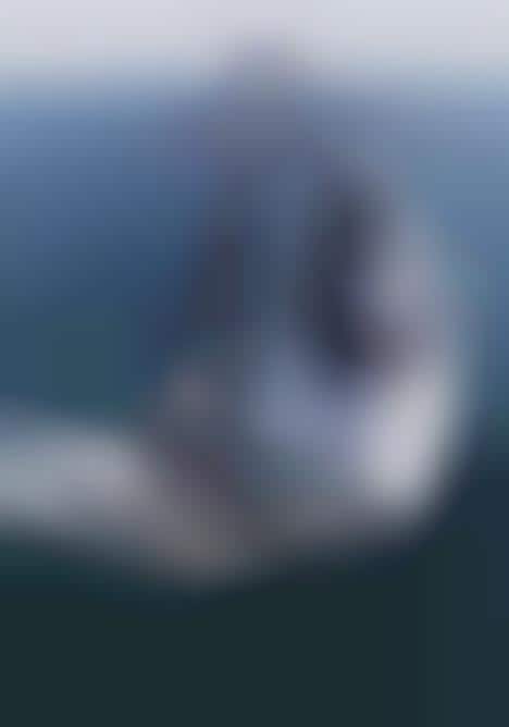 Branded Racing Yachts