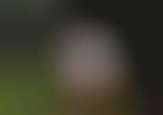 Nomadic Water Shelters : Water Shelter